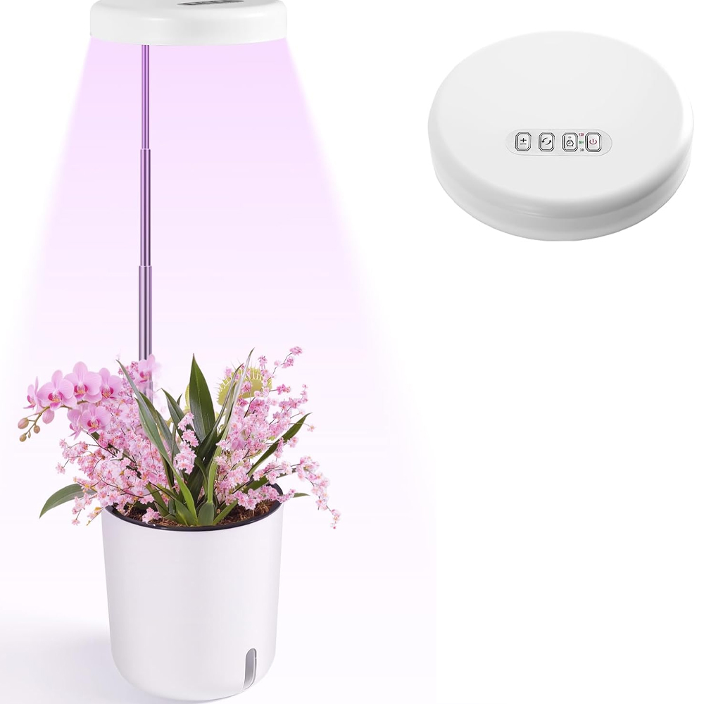 Kleiner Tischblumentopf, Geeignet Für Zimmerpflanzen, 2-in-1-wand-/tischtopf (stecker Nicht Enthalten).