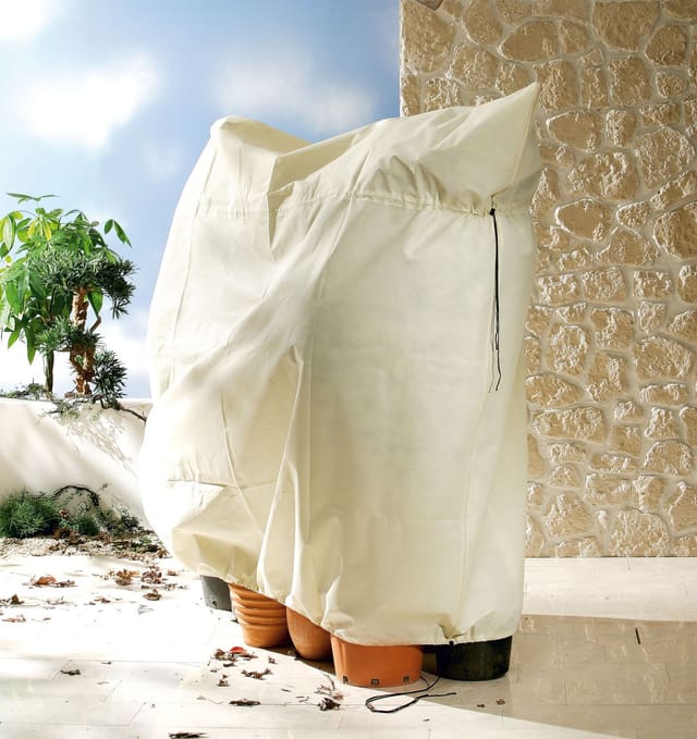 Biogreen - Bio Green Kübelpflanzensack Jumbo 240 x 200 cm Schutzvlies
