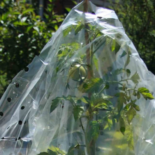 Tomaten-Reifehaube, Farbe: weiß Maße: 0,75 x 10 m, 17 g
