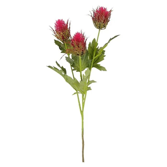 Mica Decorations - Mica Kunstpflanze Distel dunkelrosa Polyester 67 cm Ast, Stängel & Zweig