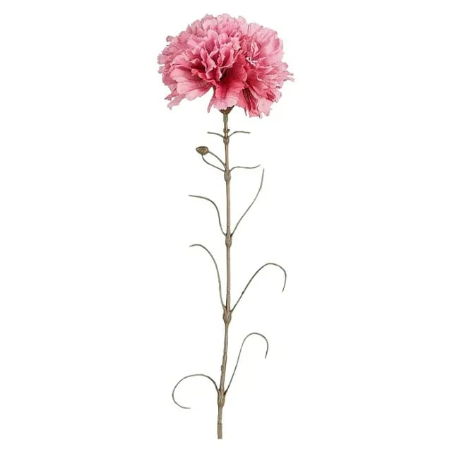 Mica Decorations - Mica Nelke dunkelrosa Polyester 66 cm Ast, Stängel & Zweig