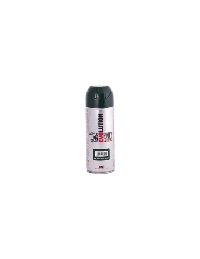 Sprühfarbe Pinty Plus Evolution 520cc ral 6005 Matt Moosgrün