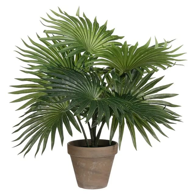 Mica Decorations - Mica Kunstpflanze Palme grün im Topf 40 cm Eingetopft