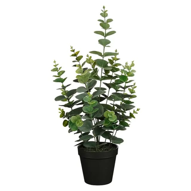 Mica Decorations - Mica Kunstpflanze Eukalyptus grün im Topf ø 23 x 53 cm Eingetopft