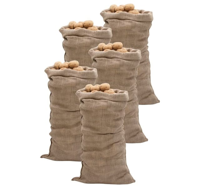 Jutesäcke 5 Stk. 65x135 cm 100% Jute 220 g/m² Vidaxl