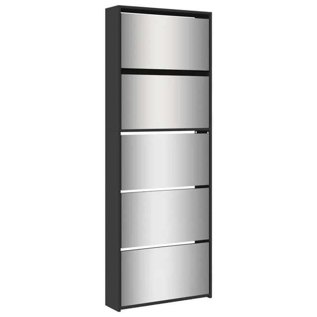 Vidaxl - Schuhschrank mit Spiegel 5 Fächer Schwarz 63x17x169,5 cm 617234