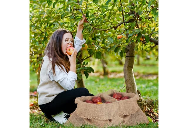 Relaxdays - Jutesack, 3er Set, HxB: 55 x 50 cm, universaler Jutebeutel, Kartoffeln, Nüsse, Pflanzenschutz Winter, natur