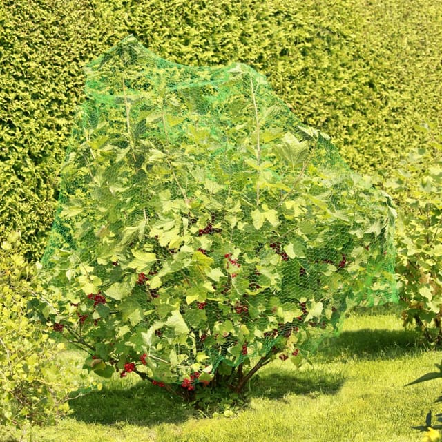 Vogelschutznetz 2x5 m