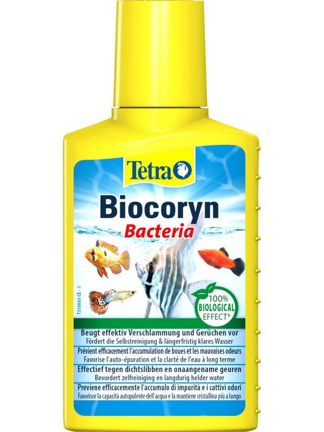 Tetra Aquariumpflege Biocoryn Bacteria 100 ml Aquariumpflege