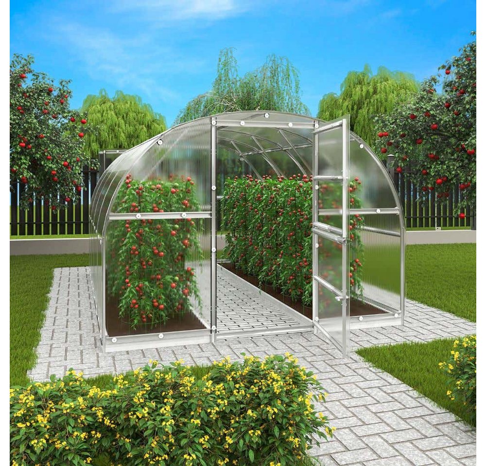 Terrando Gewächshaus Estragon 3x6m Gewächshaus aus Metall in Silber, Anzuchthaus mit 4 mm Wandstärke Treibhaus Bild 2