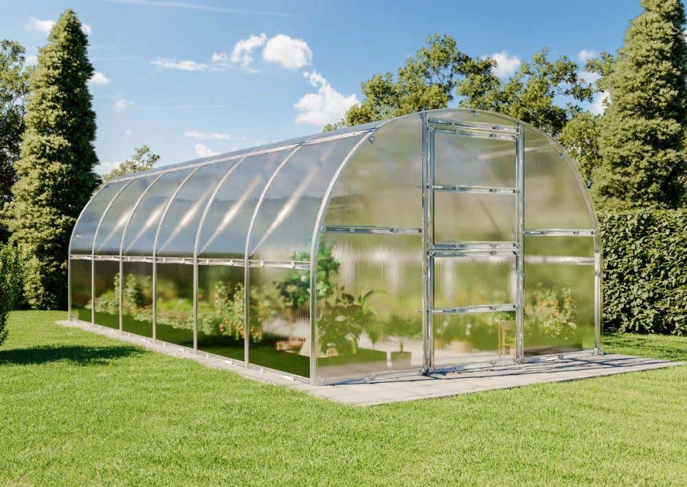 Terrando Gewächshaus Estragon 3x6m Gewächshaus aus Metall in Silber, Anzuchthaus mit 4 mm Wandstärke Treibhaus Bild 3