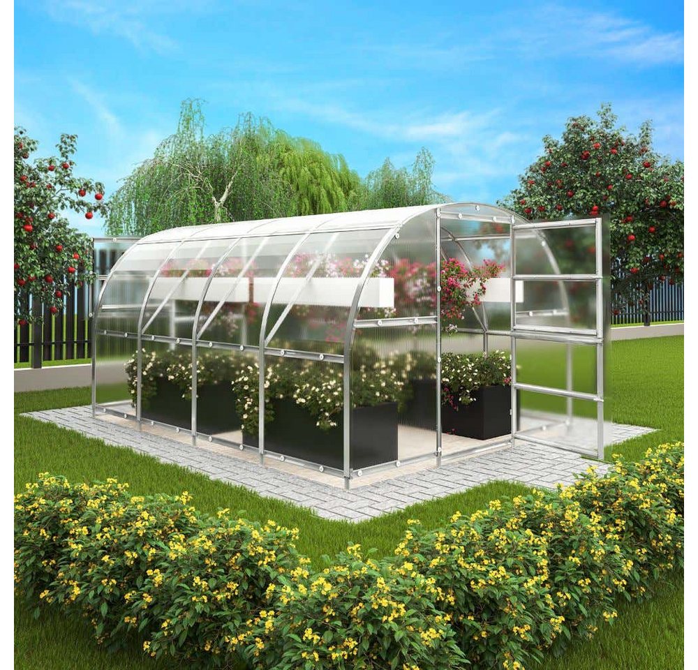 Terrando - Gewächshaus Estragon 3x4m Gewächshaus aus Metall in Silber, Anzuchthaus mit 4 mm Wandstärke Treibhaus Bild 3