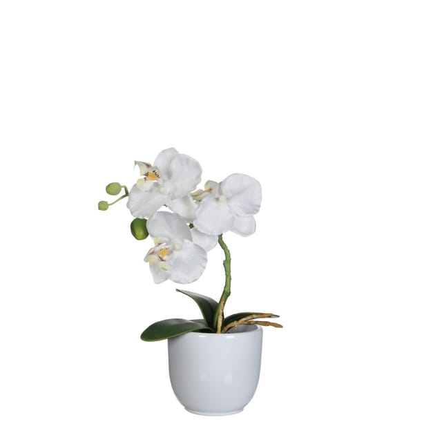 Mica Kunstpflanze Phalaenopsis im Topf weiß, 26 x 12 cm Kunstpflanzen