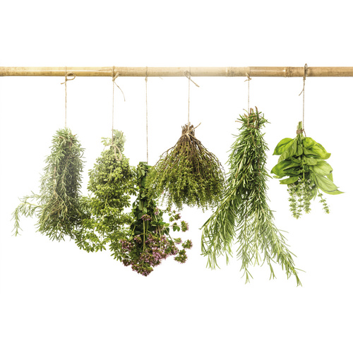 NOVADOORS Glasboard »Dried Herbs«, mehrfarbig, Glas - bunt Bild 3