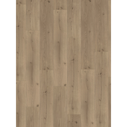 PARADOR Designboden »Basic 5.3«, LxBxS: 1209 x 225 x 5,3 mm, Eiche Infinity grau Bild 2