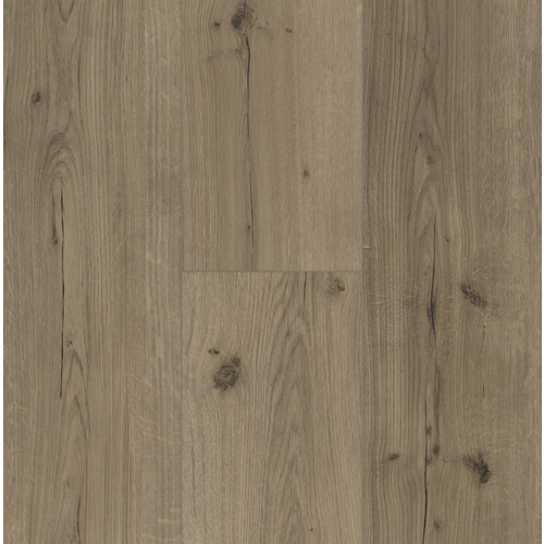 PARADOR Designboden »Basic 5.3«, LxBxS: 1209 x 225 x 5,3 mm, Eiche Infinity grau Bild 3
