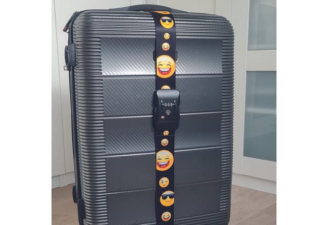 BASI Koffergurt, BxHxL: 5 x 2,5 x 200 cm, schwarz