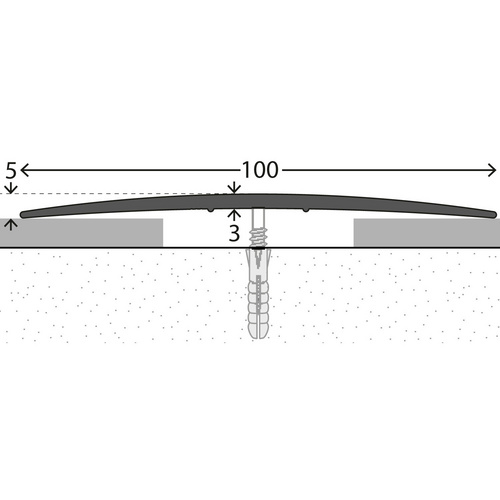 CARL PRINZ Übergangsprofil, BxH: 100 x 5 mm, mittig versenkt gelocht - silberfarben Bild 3