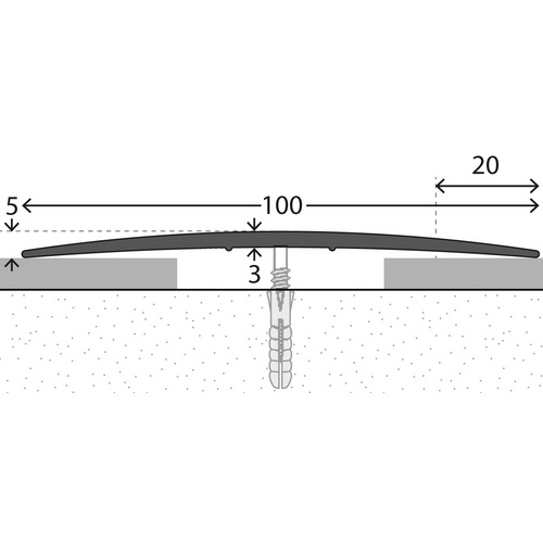 CARL PRINZ Übergangsprofil, BxH: 100 x 5 mm, mittig versenkt gelocht - silberfarben Bild 5