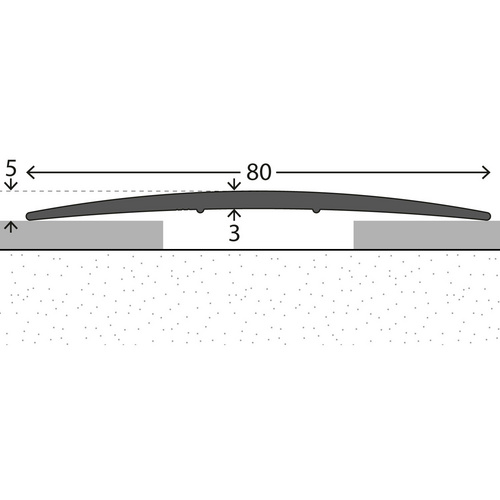 CARL PRINZ Übergangsprofil, BxH: 80 x 5 mm, ungelocht - silberfarben Bild 3