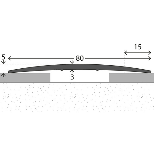CARL PRINZ Übergangsprofil, BxH: 80 x 5 mm, ungelocht - silberfarben Bild 5