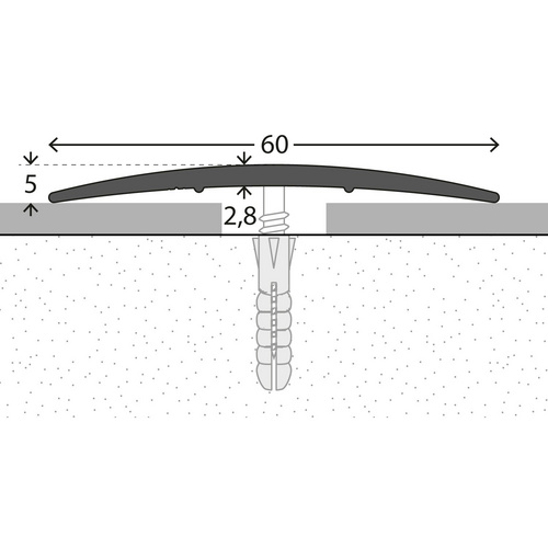 CARL PRINZ Übergangsprofil, BxH: 60 x 5 mm, mittig versenkt gelocht - silberfarben Bild 3