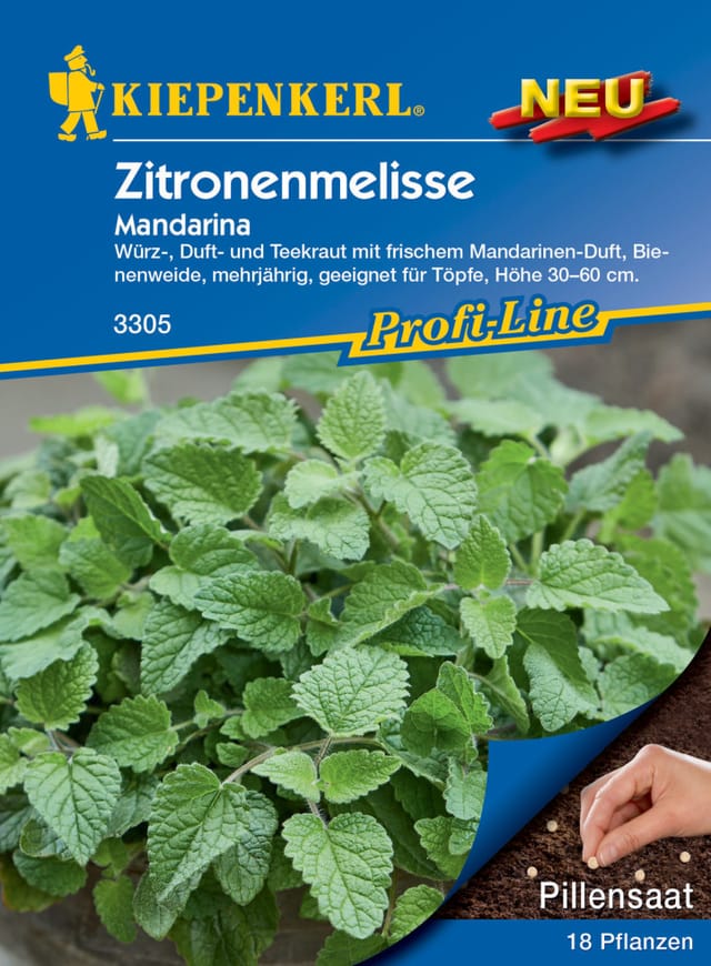 Zitronenmelisse Mandarina Pillensaat Gemüsesamen - Kiepenkerl