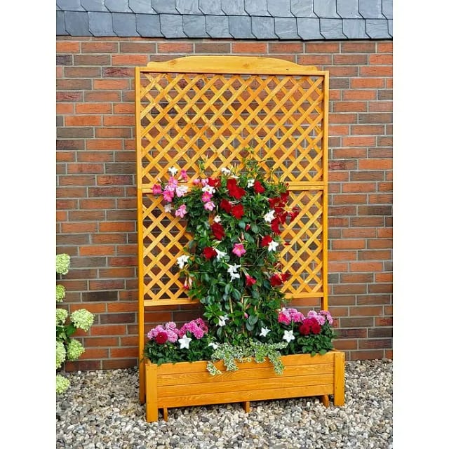 Kiehn-Holz Rankkasten 'Romantica' Holz honigbraun 120 x 210 x 38 cm