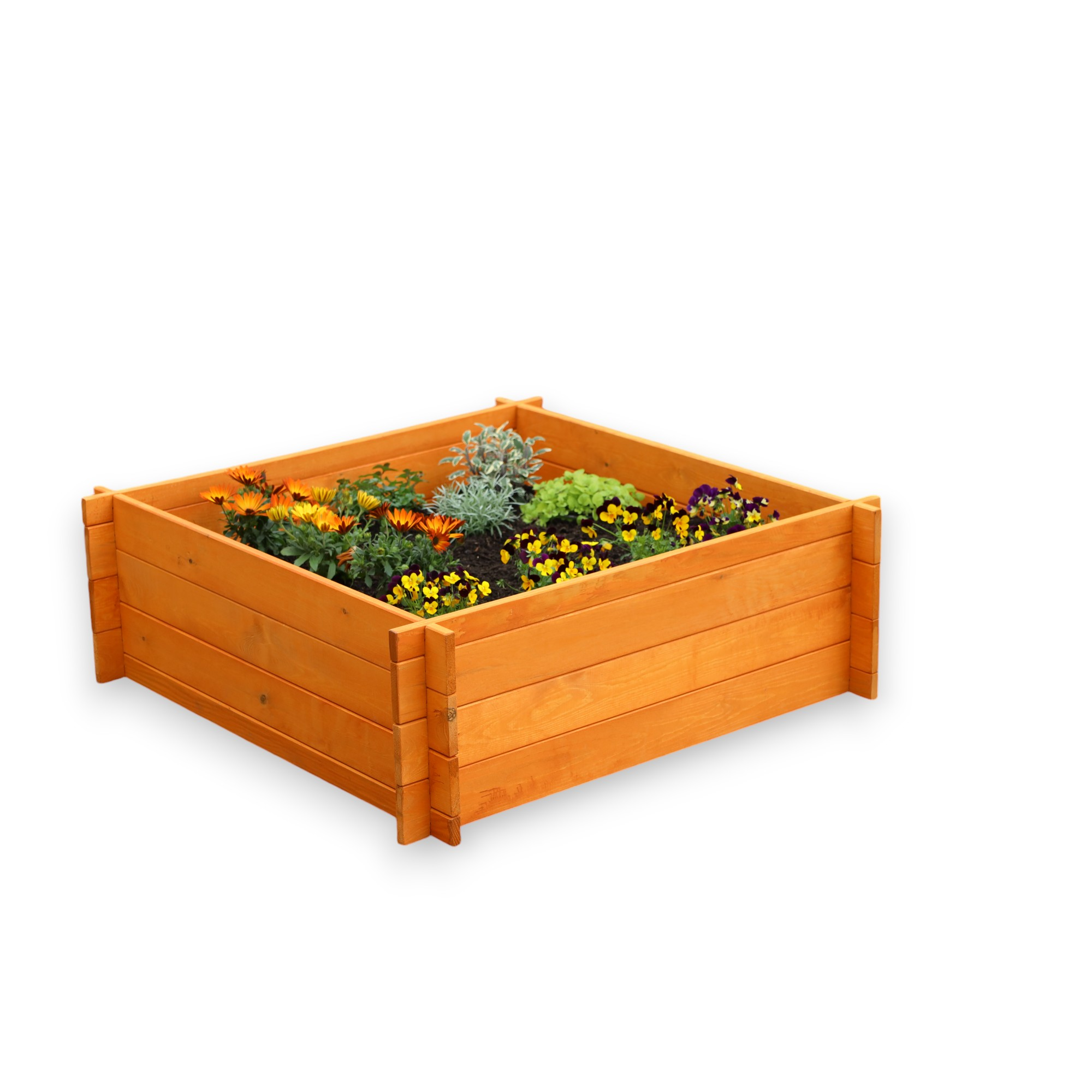 Kiehn-Holz Erhöhtes Pflanzbeet braun Kiefernholz 100 x 100 x 33,5 cm