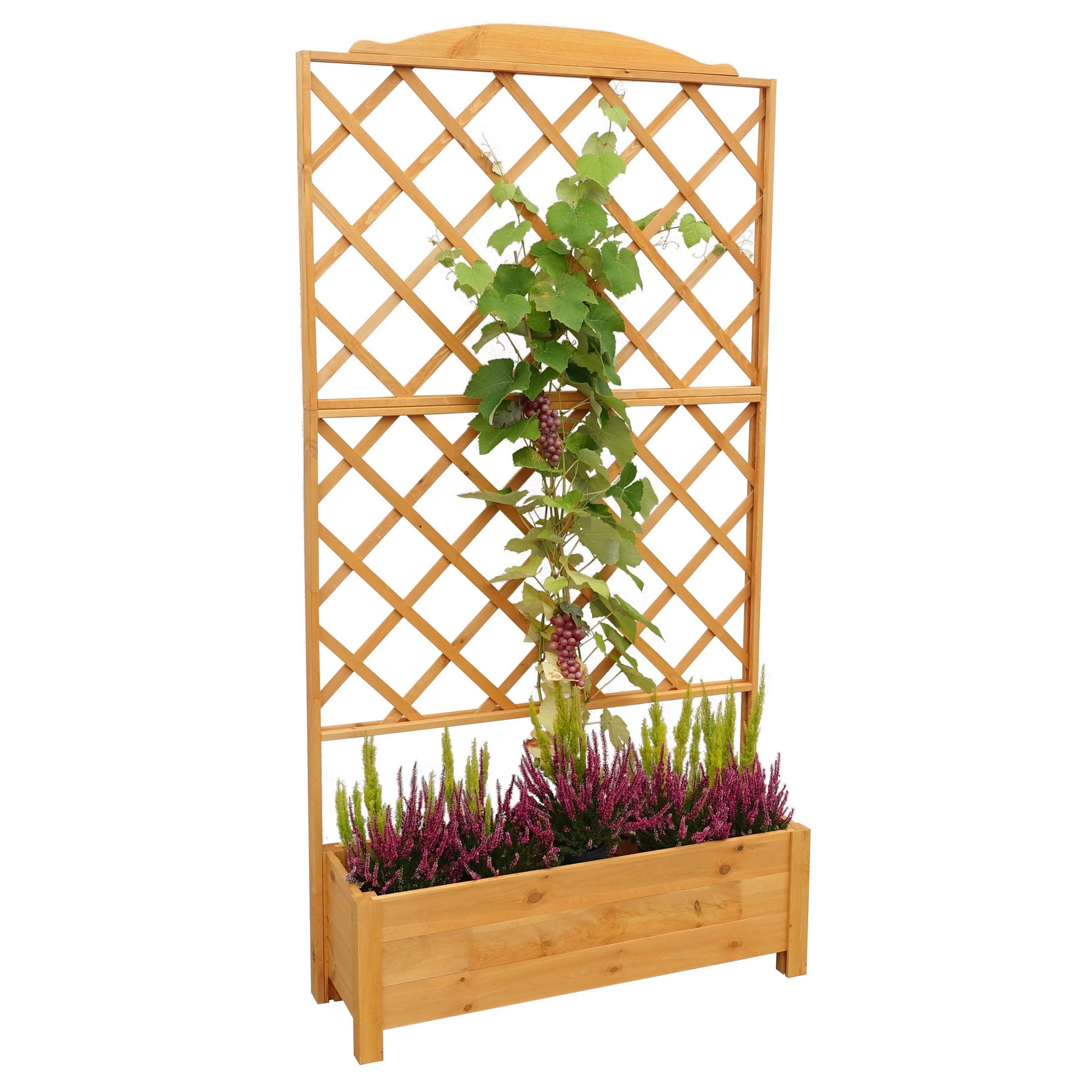 Kiehn-Holz Rankkasten 'Botanica' Holz honigbraun 110 x 210 x 32 cm Bild 2