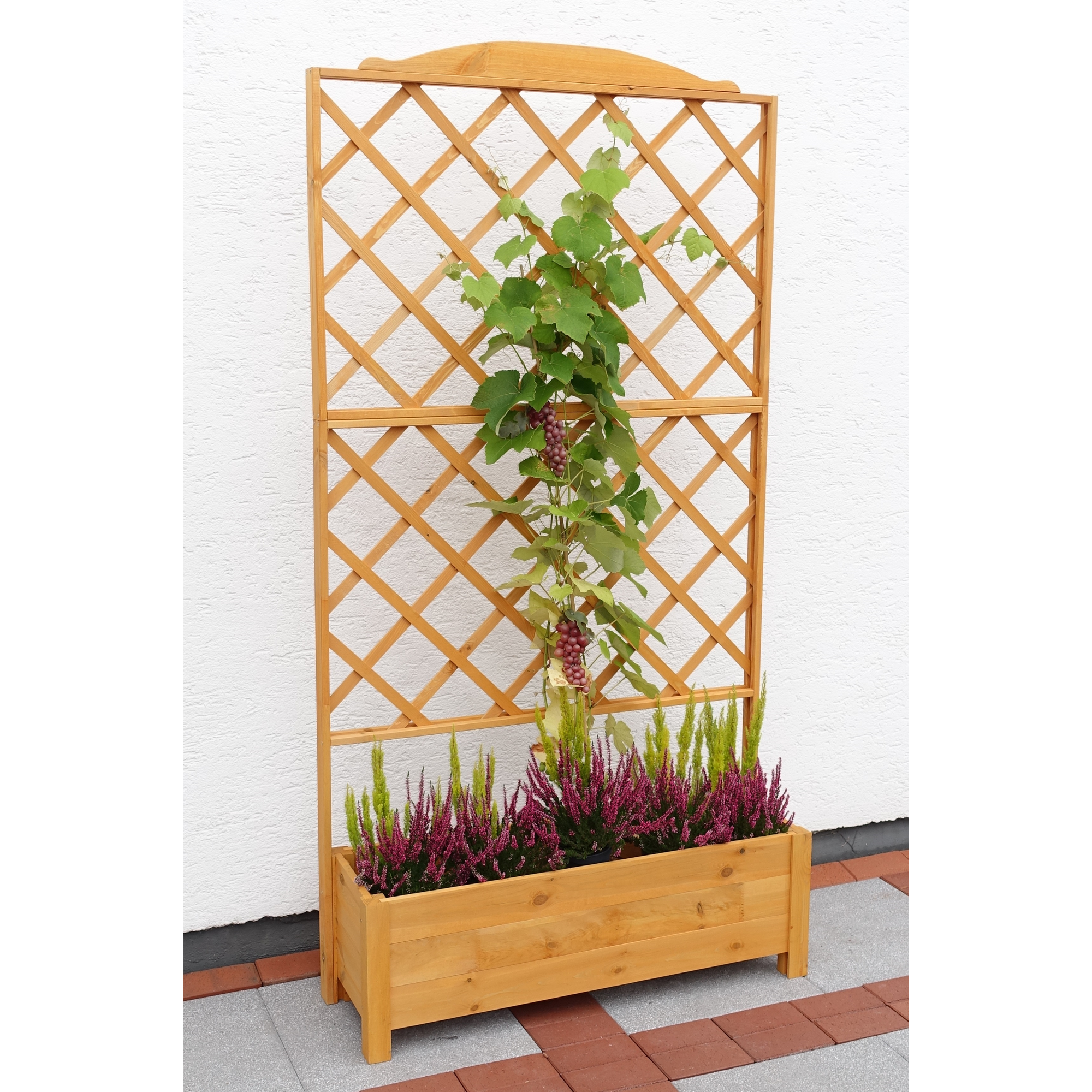 Kiehn-Holz Rankkasten 'Botanica' Holz honigbraun 110 x 210 x 32 cm Bild 3