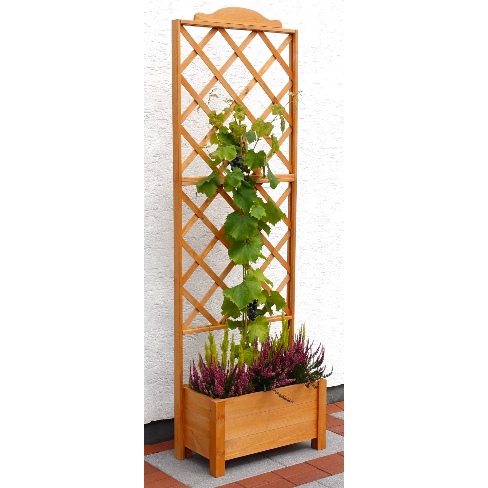 Kiehn-Holz Rankkasten 'Botanica' Holz honigbraun 69 x 210 x 32 cm