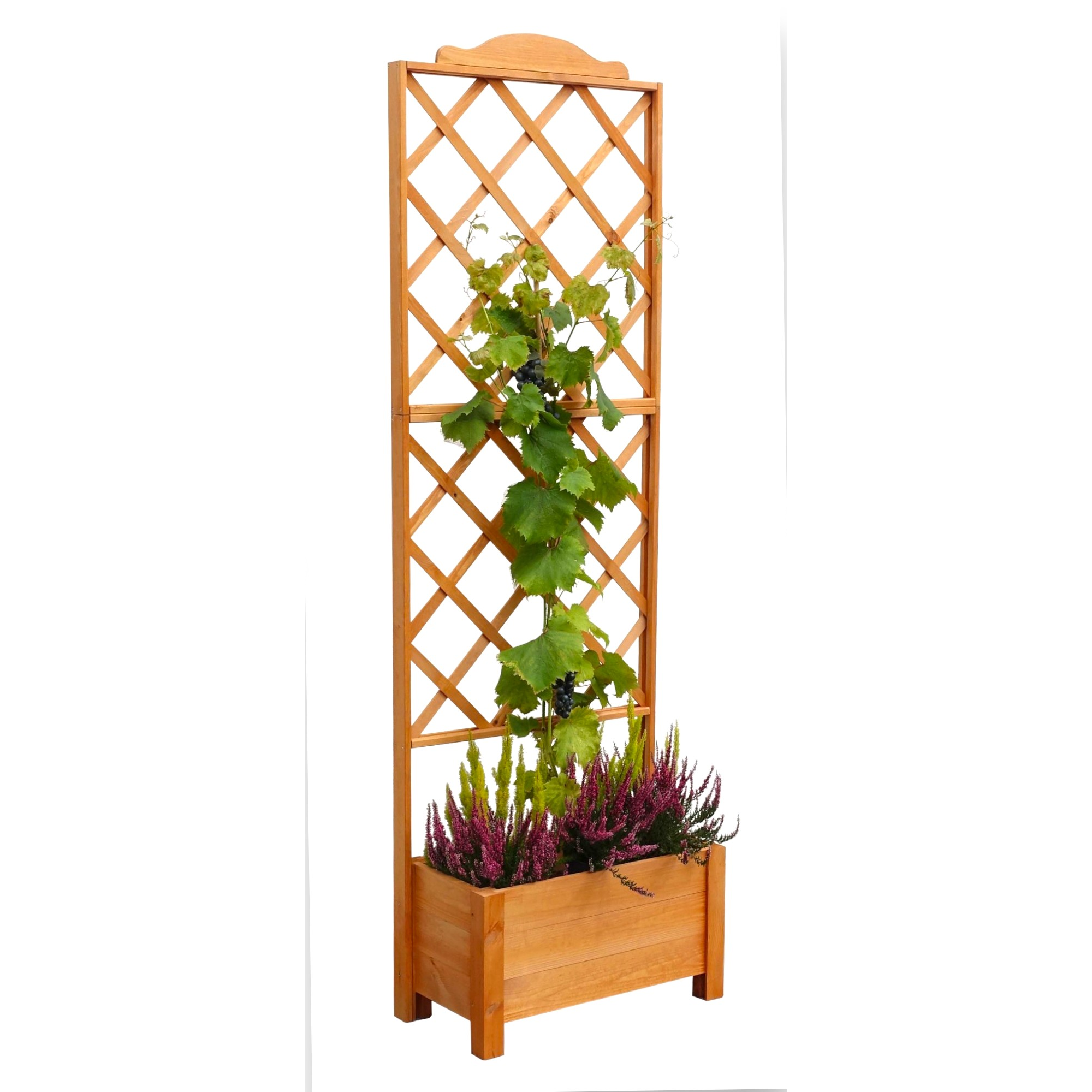 Kiehn-Holz Rankkasten 'Botanica' Holz honigbraun 69 x 210 x 32 cm Bild 3