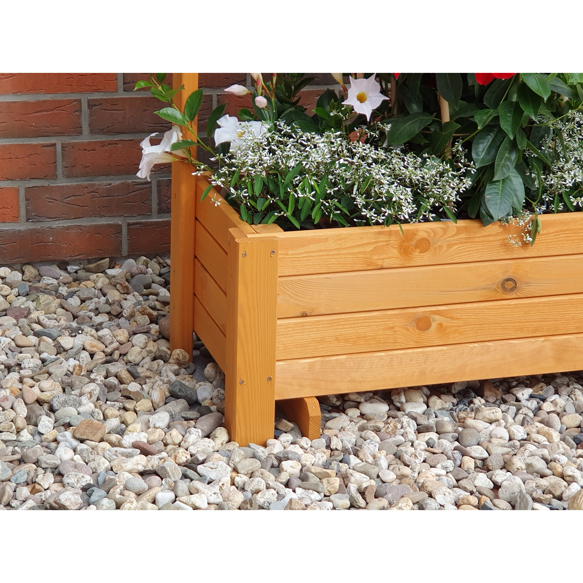 Kiehn-Holz Rankkasten 'Romantica' Holz honigbraun 80 x 210 x 38 cm Bild 2