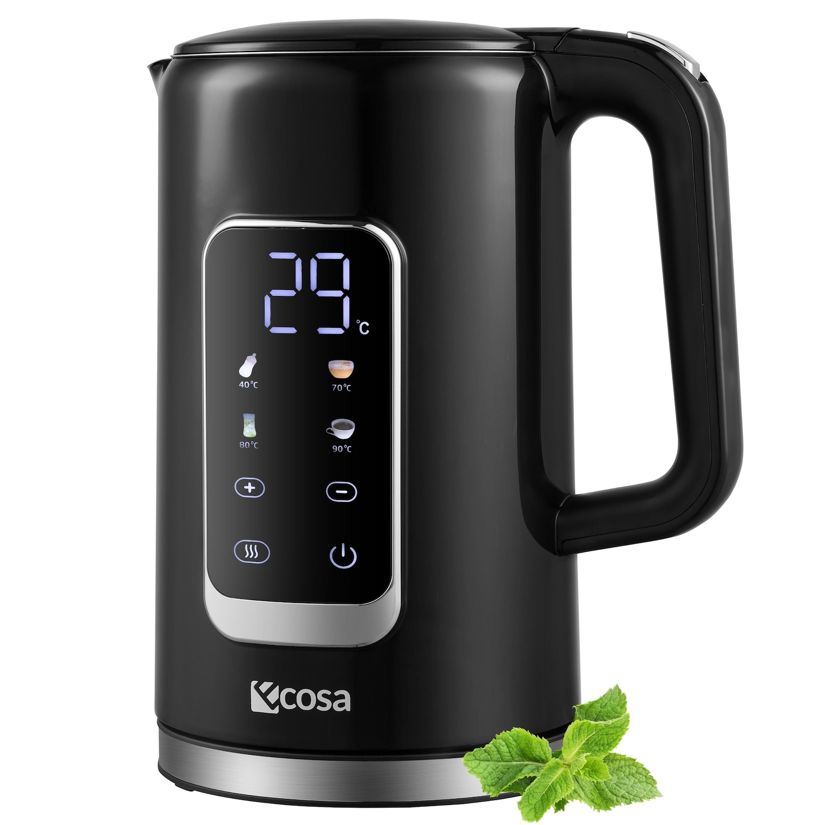 Ecosa Edelstahl Wasserkocher m. Temperatureinstellung 1.7L 2200W Schwarz