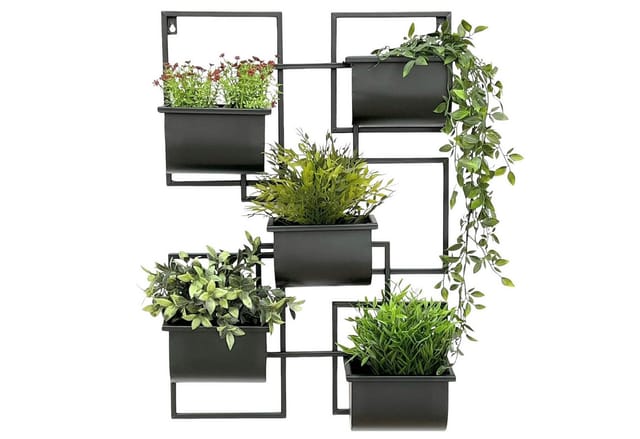 DanDiBo Kräuterregal Küche Wand Metall Schwarz 96525 Wandregal Blumenregal Pflanzenhalter Wandblumenhalter Modern
