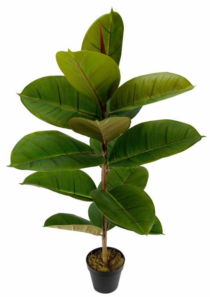 Künstliche Zimmerpflanze Gummibaum, I.GE.A., Höhe 84 cm Bild 2