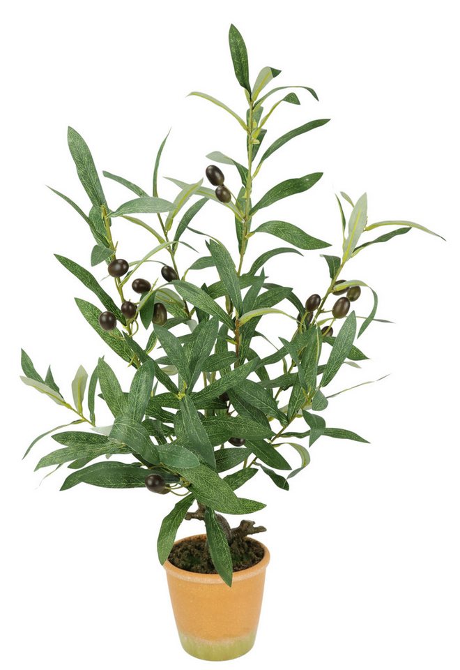 Kunstpflanze Künstlicher Olivenbaum mit schwarzen Früchten, I.GE.A., Höhe 57 cm, Olive Mediterran Ölbaum Grünpflanze Kunstbaum Dekobaum Baum Bild 2