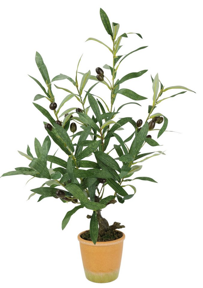 Kunstpflanze Künstlicher Olivenbaum mit schwarzen Früchten, I.GE.A., Höhe 57 cm, Olive Mediterran Ölbaum Grünpflanze Kunstbaum Dekobaum Baum Bild 3