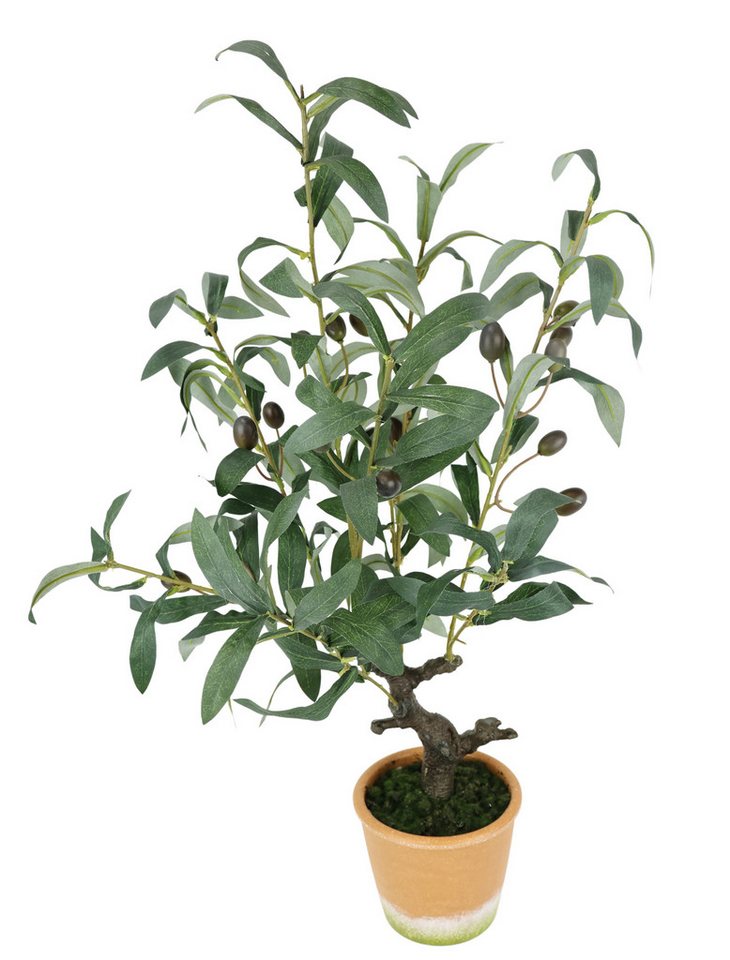 Kunstpflanze Künstlicher Olivenbaum mit schwarzen Früchten, I.GE.A., Höhe 57 cm, Olive Mediterran Ölbaum Grünpflanze Kunstbaum Dekobaum Baum Bild 4