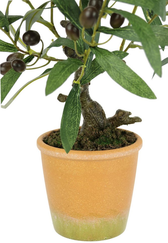 Kunstpflanze Künstlicher Olivenbaum mit schwarzen Früchten, I.GE.A., Höhe 57 cm, Olive Mediterran Ölbaum Grünpflanze Kunstbaum Dekobaum Baum Bild 5