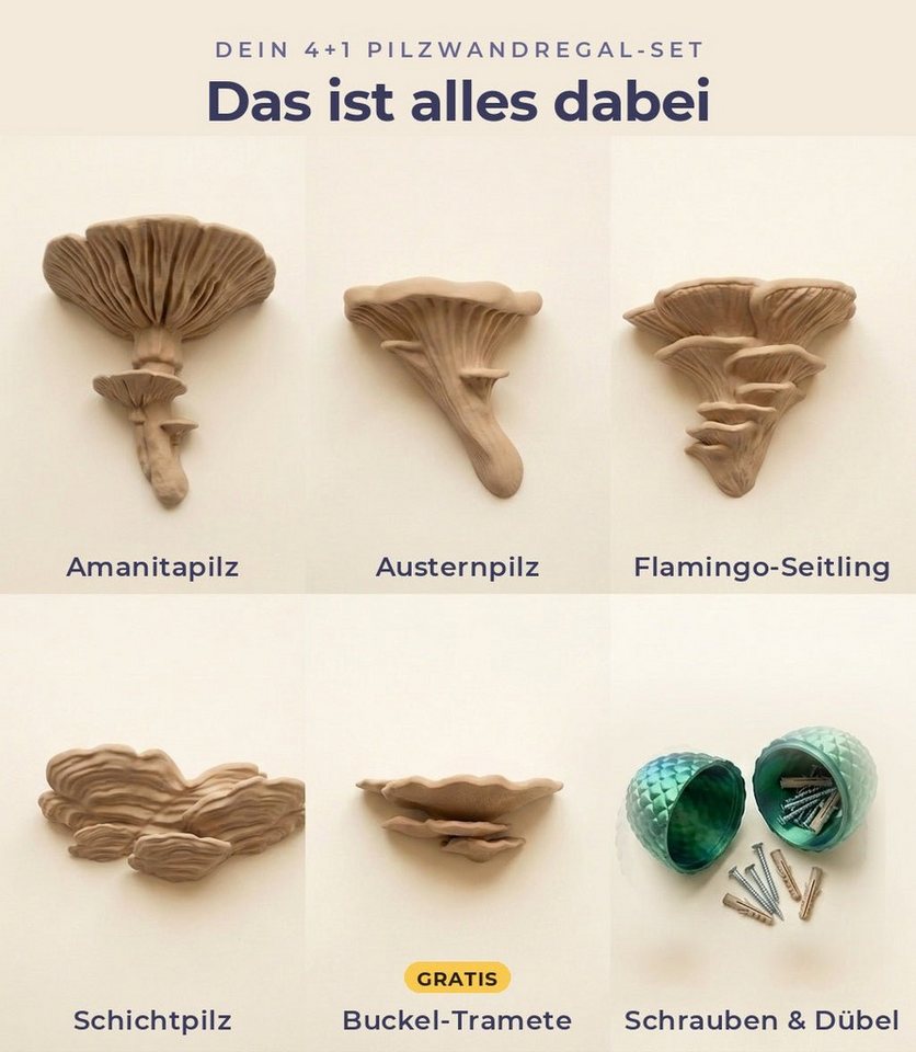 Roomberry Deko-Wandregal Pilz Wandregal Set 5-teilig, Pilzregal Deko Naturdesign, Schweberegal, Geschenk-Set, Made in Germany Bild 5