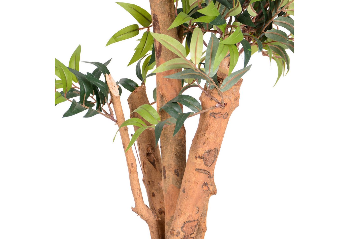 Kunstpflanze Kunstpflanze Ficus mit Echtholzstamm, UNUS HOME, Höhe 80 cm, Künstlicher Baum groß, Kunststoffpflanze Bild 2