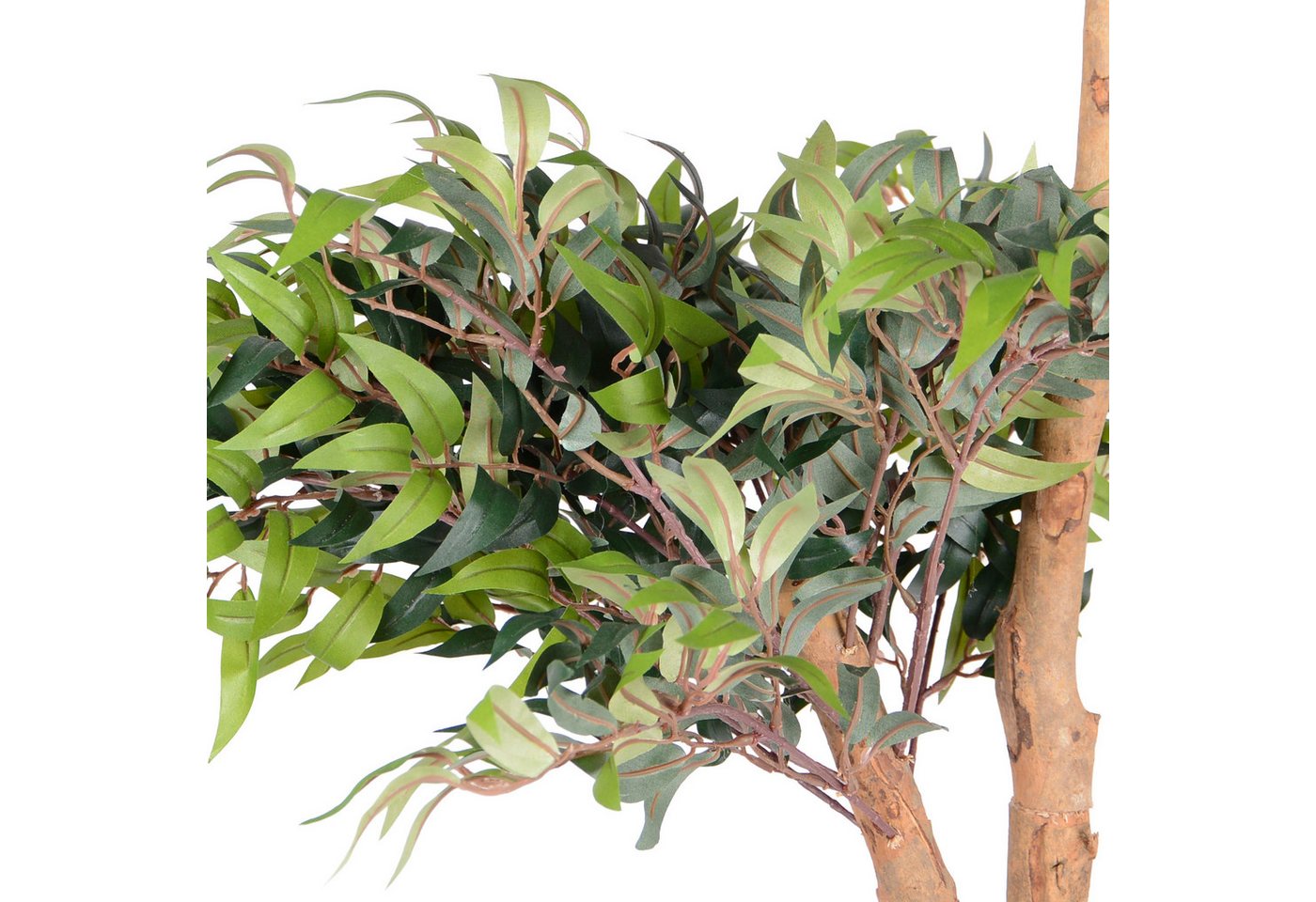 Kunstpflanze Kunstpflanze Ficus mit Echtholzstamm, UNUS HOME, Höhe 80 cm, Künstlicher Baum groß, Kunststoffpflanze Bild 3