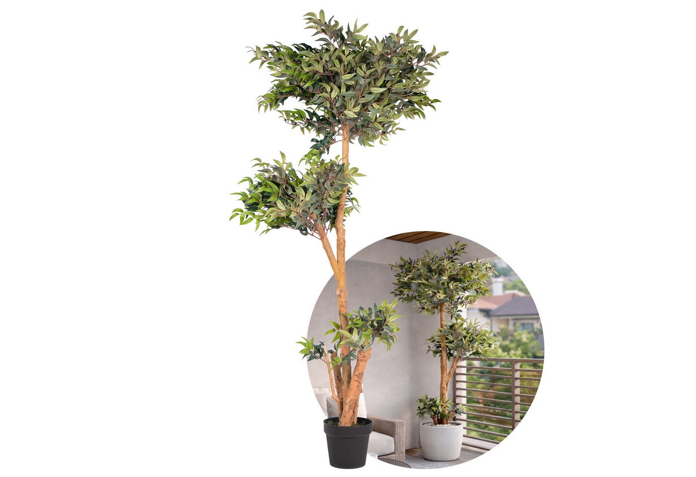 Kunstpflanze Kunstpflanze Ficus mit Echtholzstamm, UNUS HOME, Höhe 80 cm, Künstlicher Baum groß, Kunststoffpflanze Bild 4