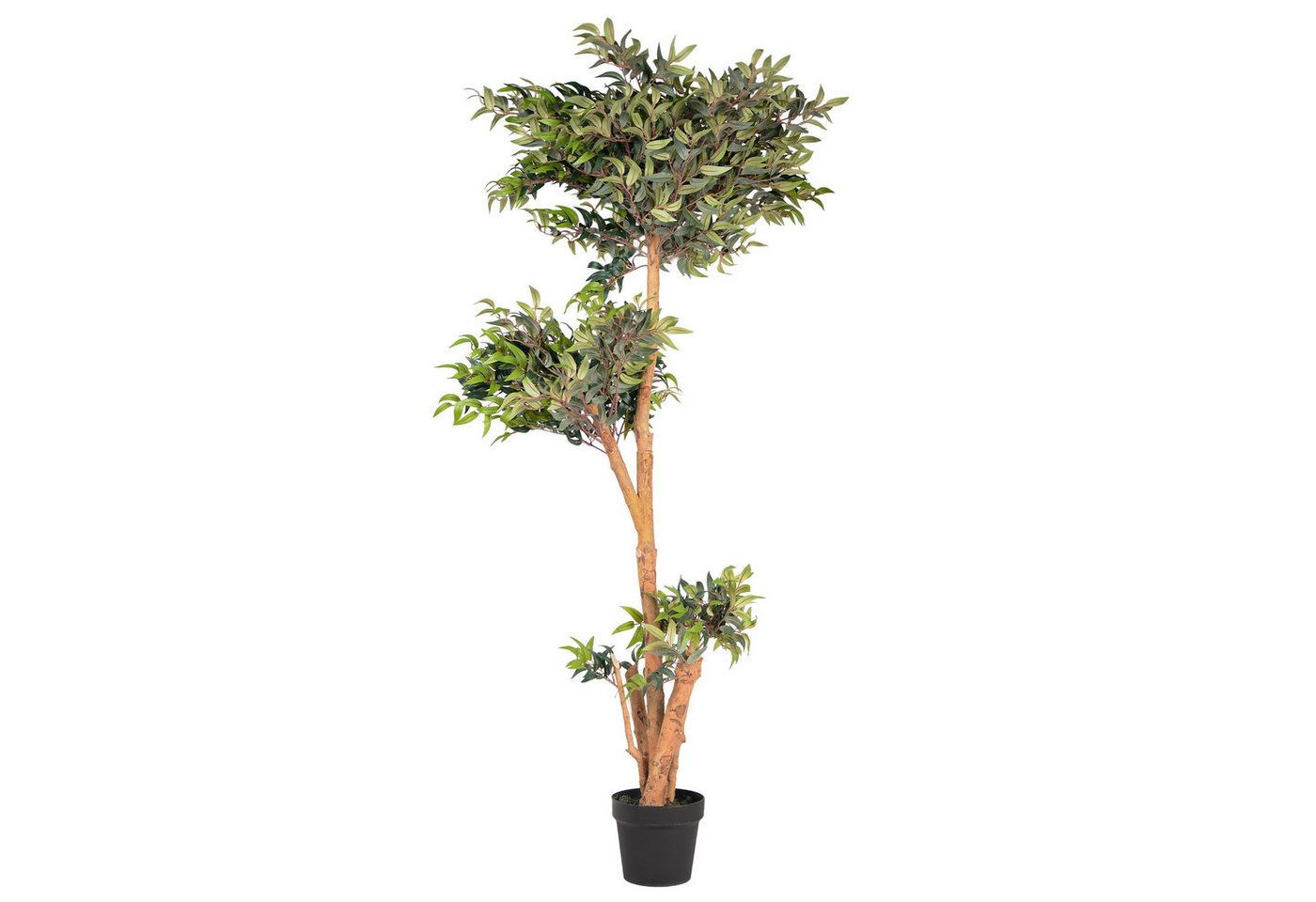 Kunstpflanze Kunstpflanze Ficus mit Echtholzstamm, UNUS HOME, Höhe 80 cm, Künstlicher Baum groß, Kunststoffpflanze Bild 5