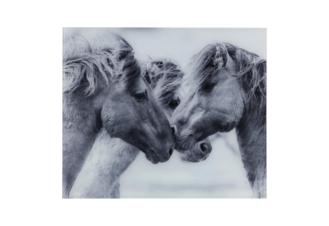 WENKO Spritzschutz Glasrückwand Horses Spritzschutz Herd Spüle Wandblende, Gehärtetes Glas mit Pferde-Motiv 60 x 50 cm Grau Bild 3