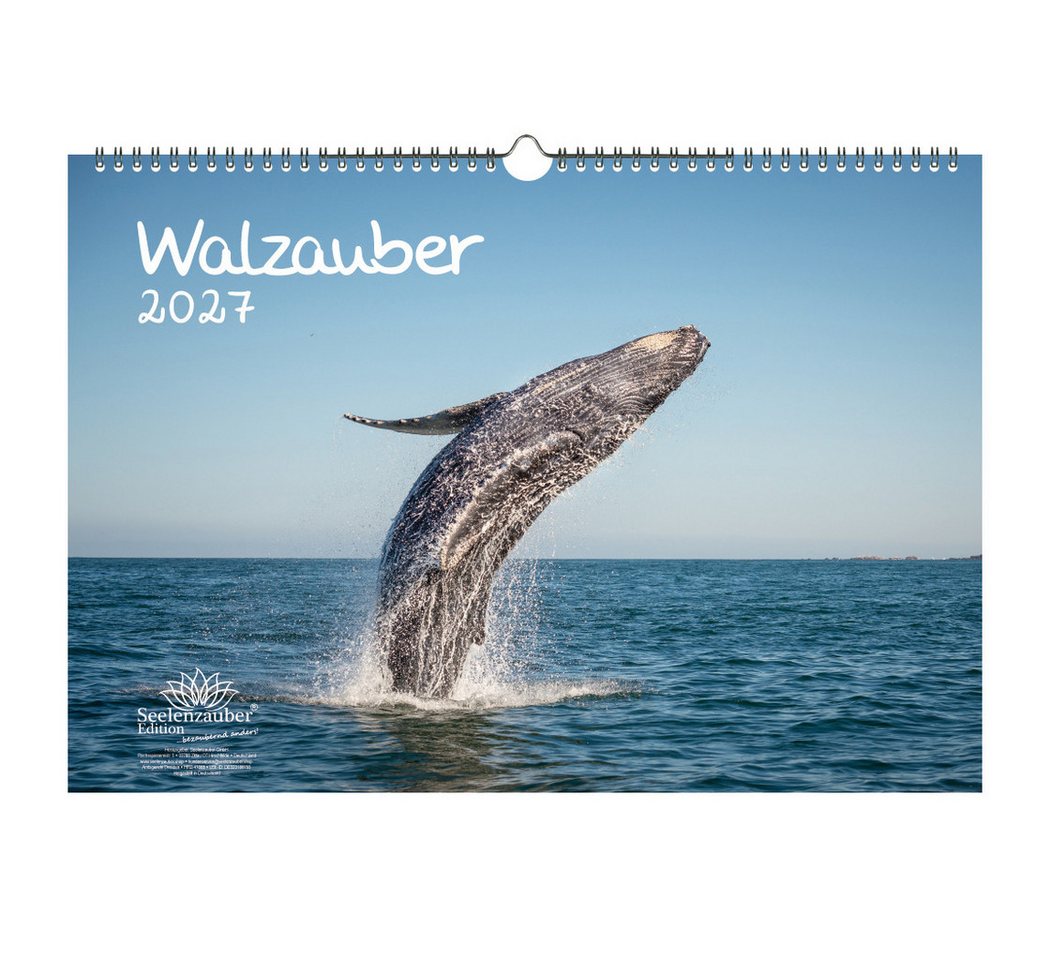 Seelenzauber Wandkalender Walzauber DIN A3 Kalender für 2027 Wal - Seelenzauber