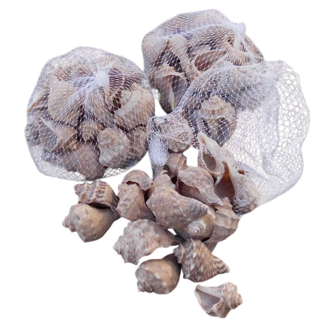 Deko-Impression Streudeko 3 Netze echte Muscheln ca. 3 x 7 cm, beige. Mediterrane Dekoration, (3-tlg)
