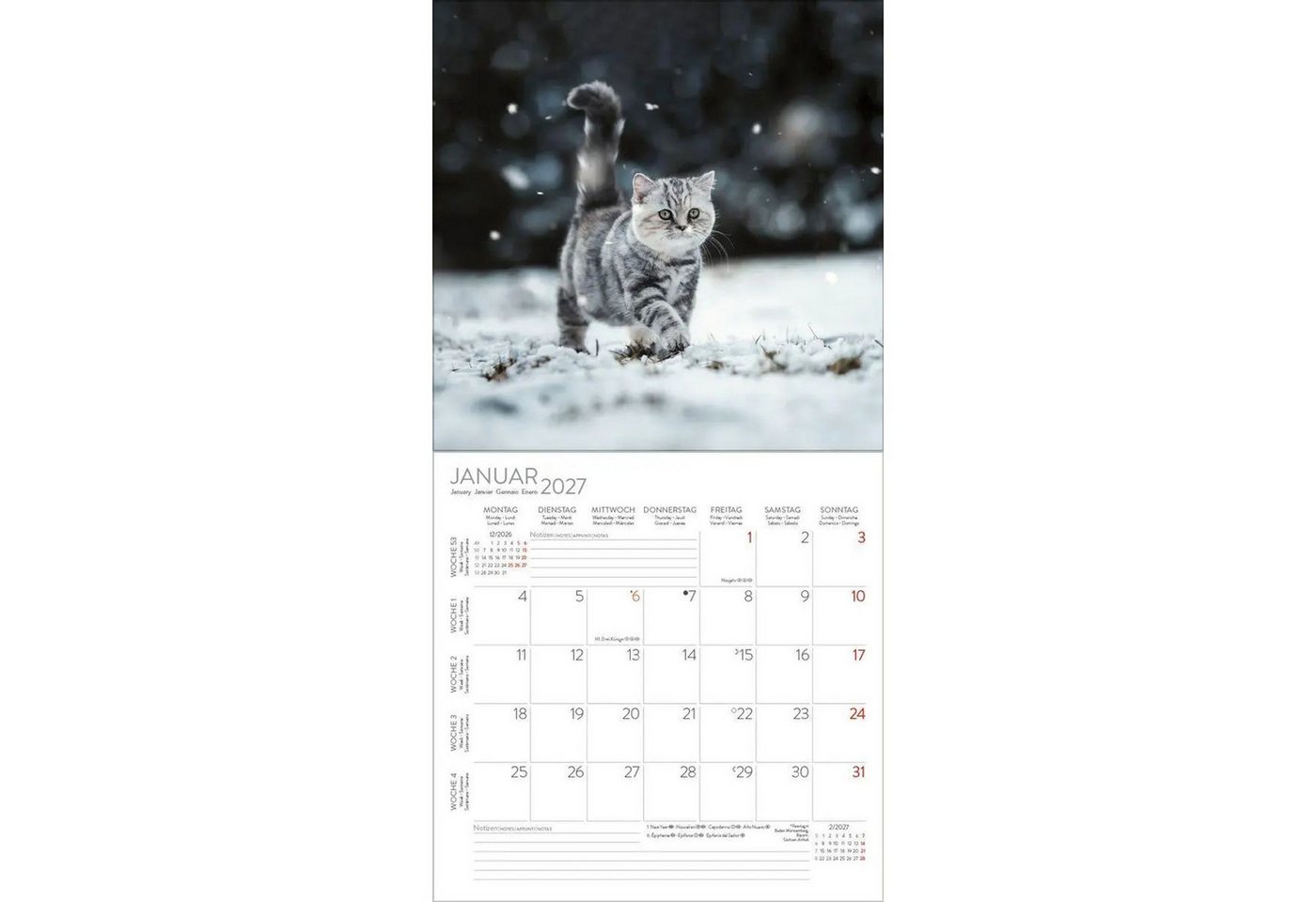 Korsch Verlag Wandkalender Cats 2027 Bild 3